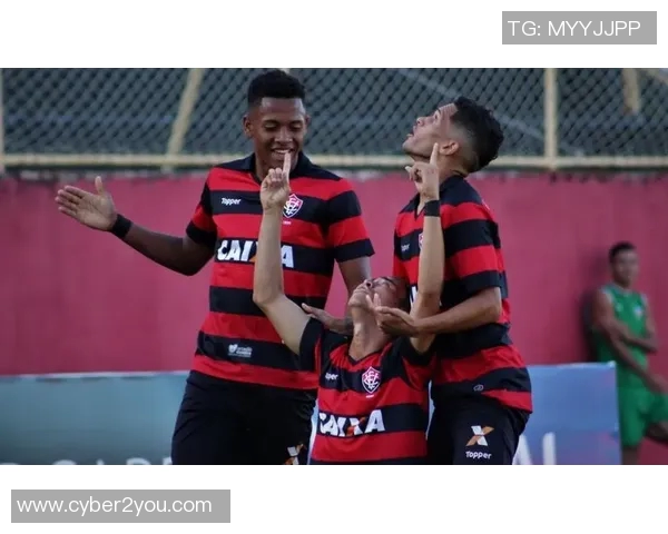 2017年帕梅拉斯与累体育激战回顾精彩瞬间与赛后分析