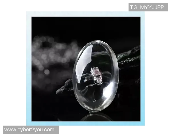 水晶体与奥林匹的对比分析揭示两者在性能与应用上的异同之处 水晶体与奥林匹的对比分析揭示两者在性能与应用上的异同之处