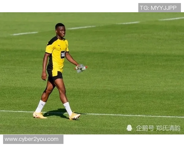 京多安的崛起与挑战解析：从德甲明星到英超战术核心的转变之路