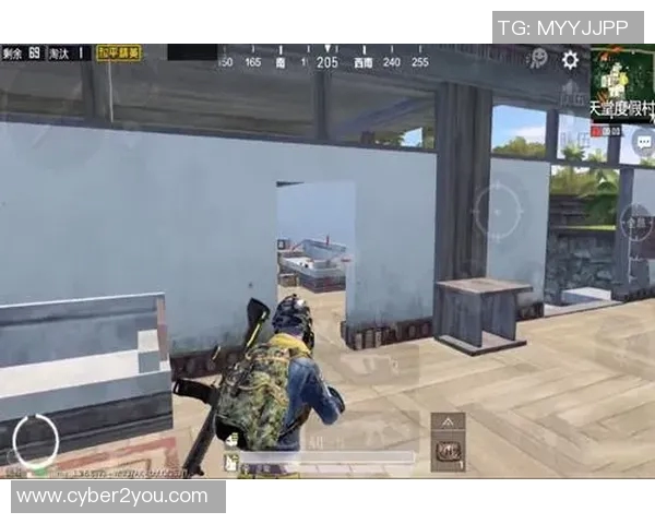 和平精英战术解析：深入探讨LNG战队的阵地战策略与技巧