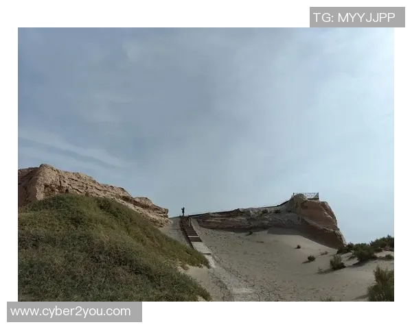 布莱克尼的魅力探寻：历史文化与自然风光的完美交融之旅