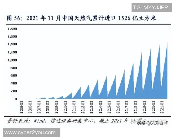 专业解析LNG市场转换策略及其对能源行业的影响分析